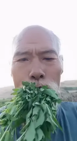 Vegetable #fyp #vegetables #eat #eating 