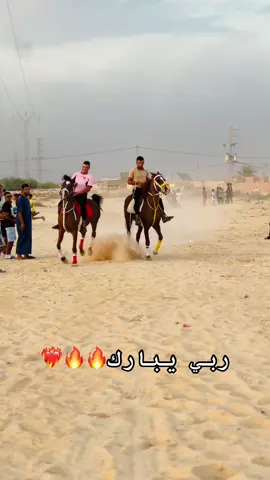 مشالله❤️🫶#ليبيا🇱🇾 #tunisia🇹🇳 #قبلي_الجنوب_التونسي🤩😘💜 #el_golaa_g13 #tik_tok @Abdallah @hamadben 