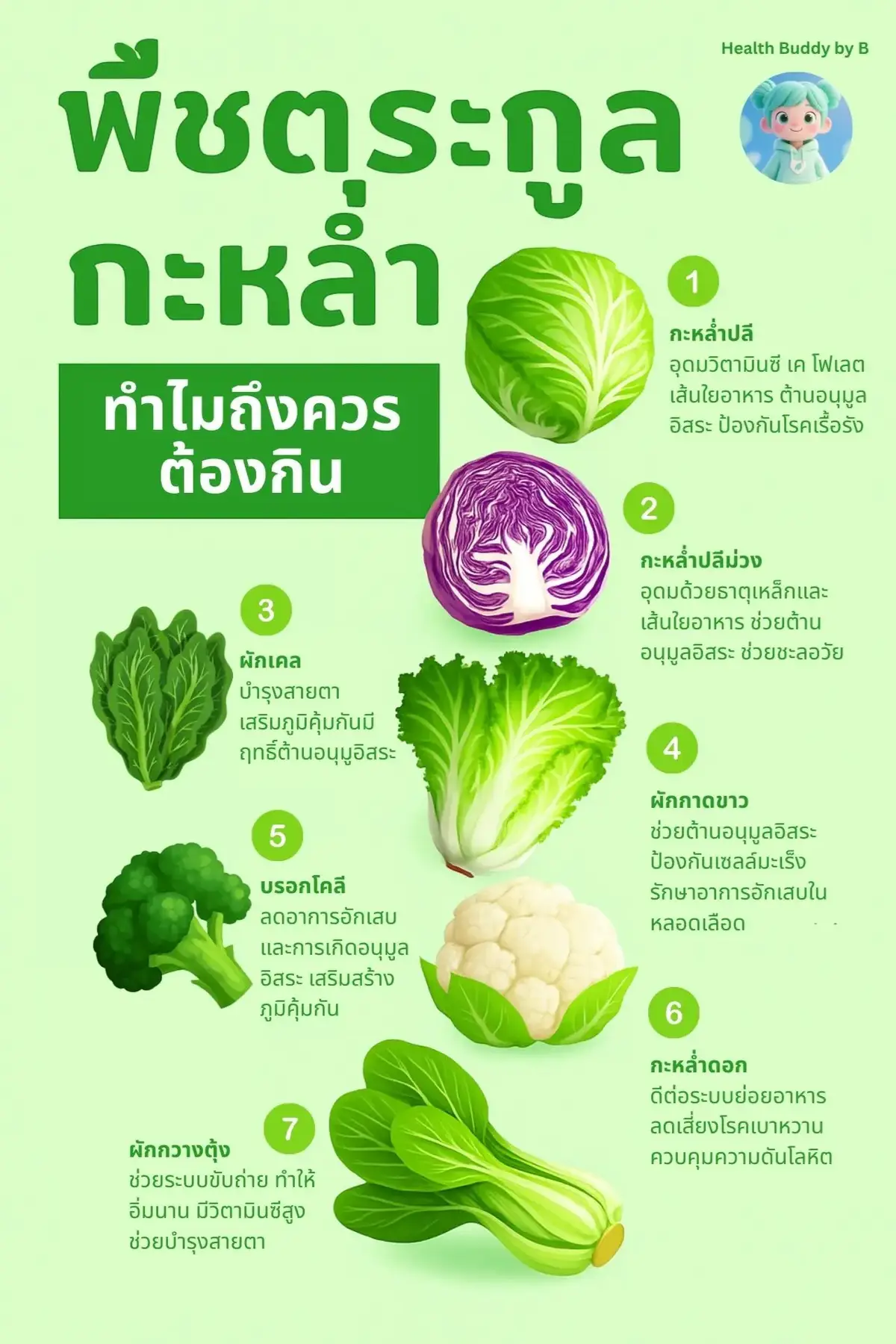 #ความรู้สุขภาพ #สารอาหาร  #กะหล่ําปลี #พืชตระกูลกะหล่ำ  #ฝุ่นpm25 