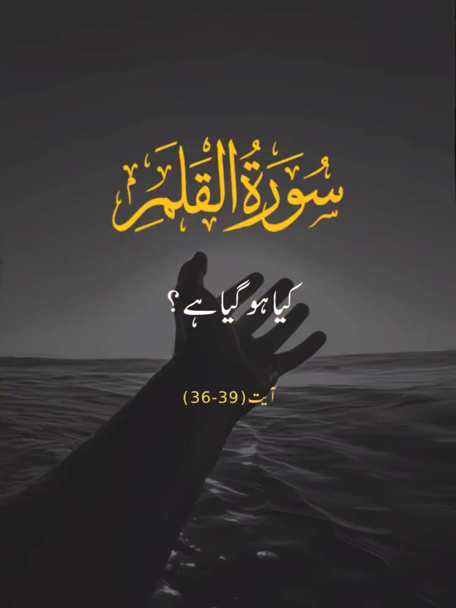 SURAH AL QALAM #foryou#quran_alkarim#allah❤️#faanitranslation#viral#trends #surahqalam #urdutranslation #ayat #surahnisa #surahrahman #surahyaseen