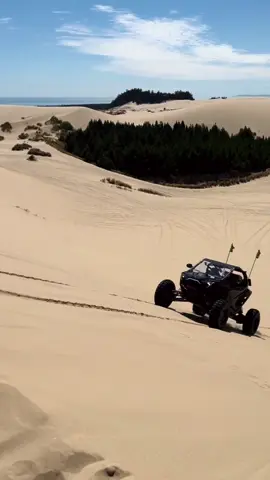 @Travis_Flanders #oregondunes #sanddunes #polaris #rzr 