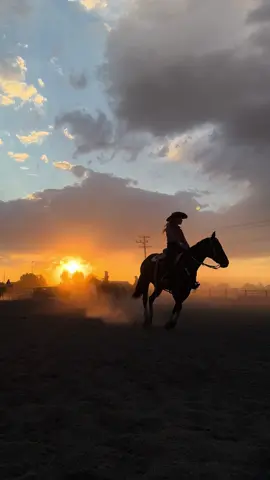 Warmin’ up #fyp #barrelrace #rodeo #montana 