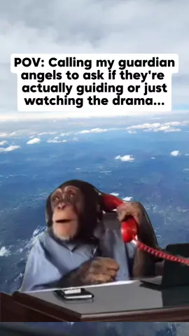 #Meme #MemeCut #CapCut #viral #fyp 