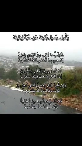 جَمِيل بُثينة شاعر أموي فَخم المعنى والّفظ أحب بُثينة وكَتب فيها الكَثير من القصائد ومات مَنفيّ في مَصر بأمر مِن عبدالملك بن مروان  #فصحى #شعر #اكسبلور 