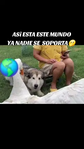 #viral #foryou #parati #elmundo #viral 