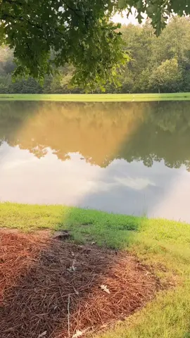 Archer lake big boy 
