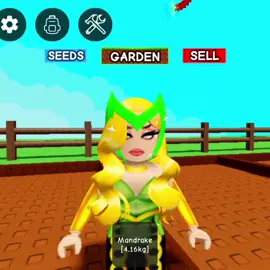 Mandrágora en Grow a Garden! 🦝 #robloxgames #growagarden #growagarden🥒🌶🍅 #fyp #paratii 