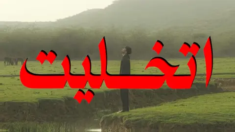 وعنك اتخليت وأصلا ارتاحينت…#اغاني_عراقيه #يوسف_الصميدعي #fyp #اكسبلورexplore #fyppppppppppppppppppppppp 