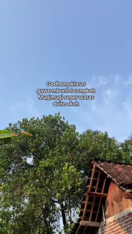 Amiiinn #fypviralシ #fyppppppppppppppppppppppp #storywa #kabupatenbatang #kedungsegog 