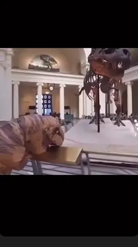 #liveflowsweatduet 🤣🤣🙂‍↕️🙂‍↕️