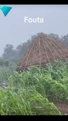 #guinéenne_fière🇬🇳🇬🇳🇬🇳tiktokguinee224🇬🇳 #guinée🇬🇳 #comedia #Conakry #Sénégal @Binette Diallo @mamadian215@gmail.com diallo4 