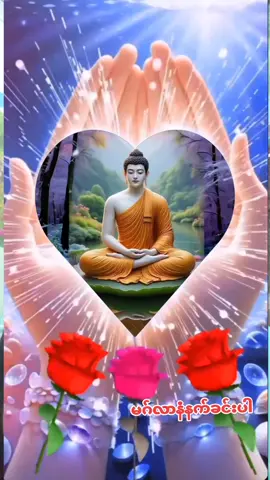 #မဂ်လာမနက်ခင်းပါ🙏🙏🙏🙏🙏 #ဤအိမ်သည်ဗုဒွ၏အရိမ်အောက်တွင်တည်ရှိပါသောကြောင့် #ရောက်ရှီလာသူအပေါင်း #စိတ်၏ချမ်းသာခြင်းကိုယ်၏ကျမ်းမာခြင်းနှင့်ပြည့်စုံကြပါစေ #နှစ်လုံးစိတ်ဝမ်းအေးချမ်းကြပါစေ 
