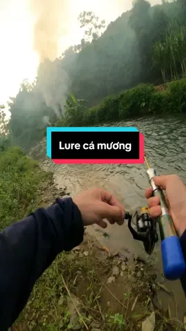 Câu lure cá mương với thẻo bọ cực kỳ đơn giản #moicausuoi #langthangcauca #cauca 