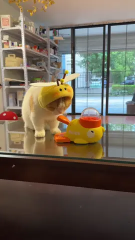 祂每天都會喊我往祂的小黃鴨肚子裏加零食#cat #cattoys 
