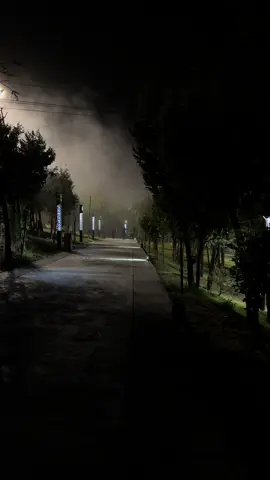 الباحة في أغسطس/ #الباحة #غابة_رغدان #ضباب #السعودية #explore #fyp #foryoupage 