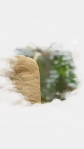 Không có gì phải day dứt cả, vì sự sụp đổ hôm nay chỉ là cái giá phải trả cho sự lựa chọn ngày hôm đó… #giuanhungconsong #phattrienbanthan #chualanh #sach 