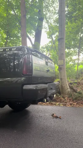 #fyp #f250 #platinum #67powerstrokediesel #trending 