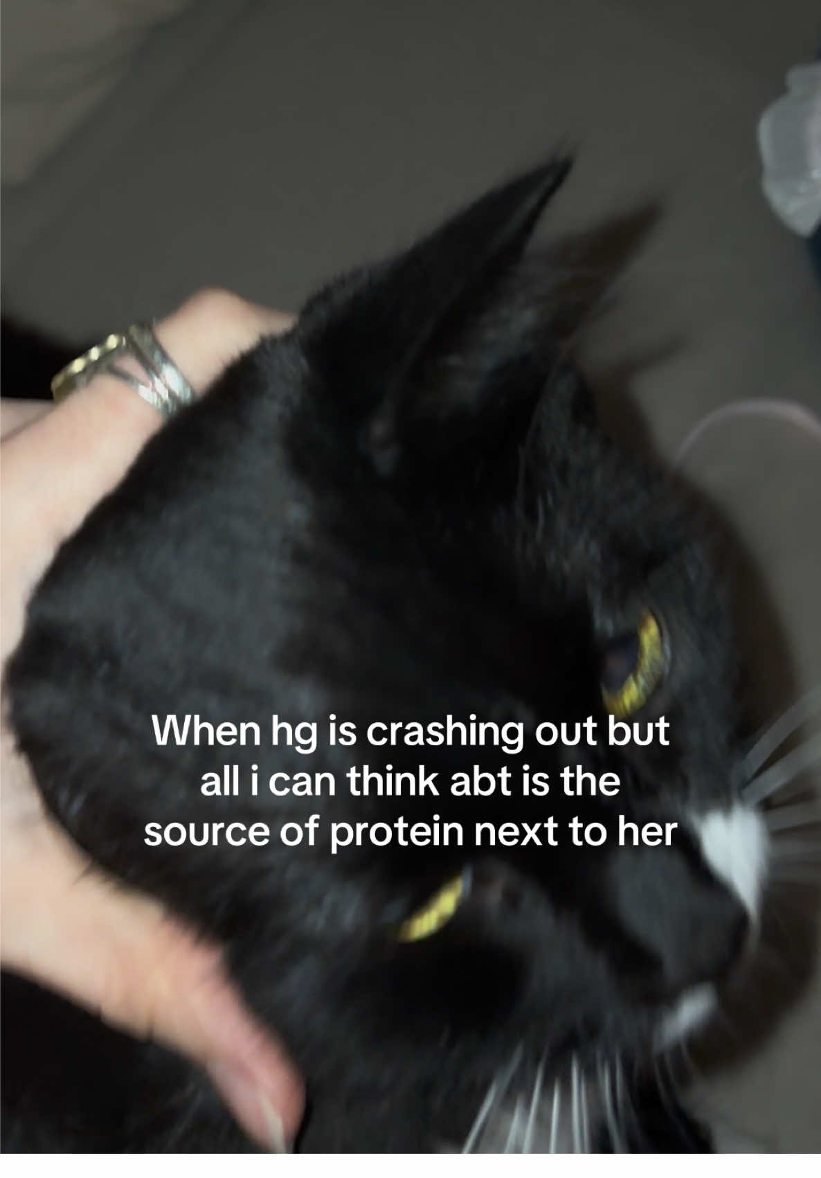 At least 800g of protein #treanding #fyp #gym #consistency #protein 