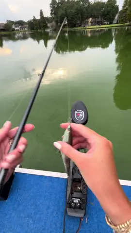 Speed clips keep it alive and kicking just like the bait was meant to swim! #topwaterco #fishingtips #fishingtiktoks #swimbait 