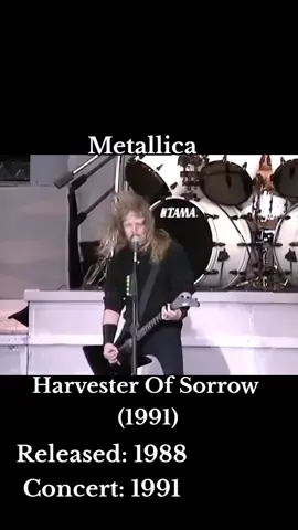 Metallica - Harvester Of Sorrow Live Concert on August 17, 1991