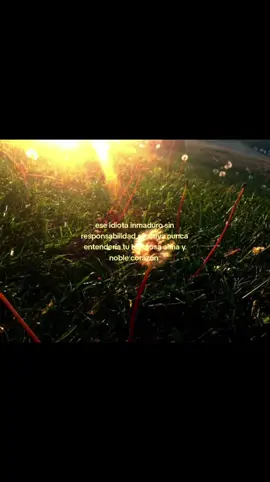 #hopecore #nostalgia #tiktokponemeenparati #cuentaparaidentificarse #relatable 