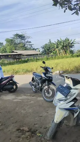 #ikanmurahbandarlampung #ikannatar #ikansegarbandarlampung #ikanmurah 