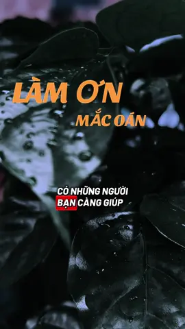 Giúp nhiều sẽ tạo ra kẻ vô ơn #ngộđểan #phatphapnhiemmau #caunoihay #thinhhanh #xuhuongtiktok 