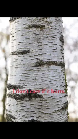 #fyp #xyzabc #vent #silentrepost #relatable 