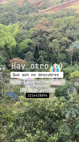 ✨ *ENCUENTRO DE CONSTELACIONES FAMILIARES – UBUNTU!* ✨ 📅 23 y 24 de agosto de 2025 📍 Paraíso de Colores – Popayán, Cauca @paraisodecoloreshostel Te invitamos a vivir un espacio profundo de sanación y transformación a través de las Constelaciones Familiares, una herramienta terapéutica que nos permite mirar con amor los patrones heredados, liberar cargas del sistema familiar y restaurar el orden y el amor en nuestra historia. Este encuentro florece desde la sabiduría ancestral de UBUNTU, un canto del alma que nos recuerda: “Yo soy porque todos somos”. Una verdad profunda que nos invita a reconocer que somos uno con la gran red de la vida, que nuestros pasos no son individuales, sino ecos que vibran en nuestro linaje, en la Tierra y en el corazón colectivo. Sanar tu historia es un acto de amor al Todo. Al mirar con compasión tus raíces, nutres el tejido sagrado de la humanidad. Porque en cada transformación personal, brota una semilla de sanación para el bien común. 🌿✨ 🌿 Serán 4 jornadas vivenciales: 🌞 Sábado 23 de agosto: mañana (incluye almuerzo) y tarde (incluye cena) 🌞 Domingo 24 de agosto: mañana (incluye almuerzo) y tarde (incluye cena) 🍃Elije la jornada de tu preferencia  💰 Inversión: $350.000 por persona  🍃 Espacio natural, amoroso y contenido 💫 Organiza: UBUNTU – Yo soy porque todos somos 📌 Cupos limitados Facilita: @raulconstelador Si tu alma lo siente, este llamado es para ti. ✨ Te esperamos. ☀️Reserva con $100.000 💌 Escríbeme para más información o para separar tu cupo.