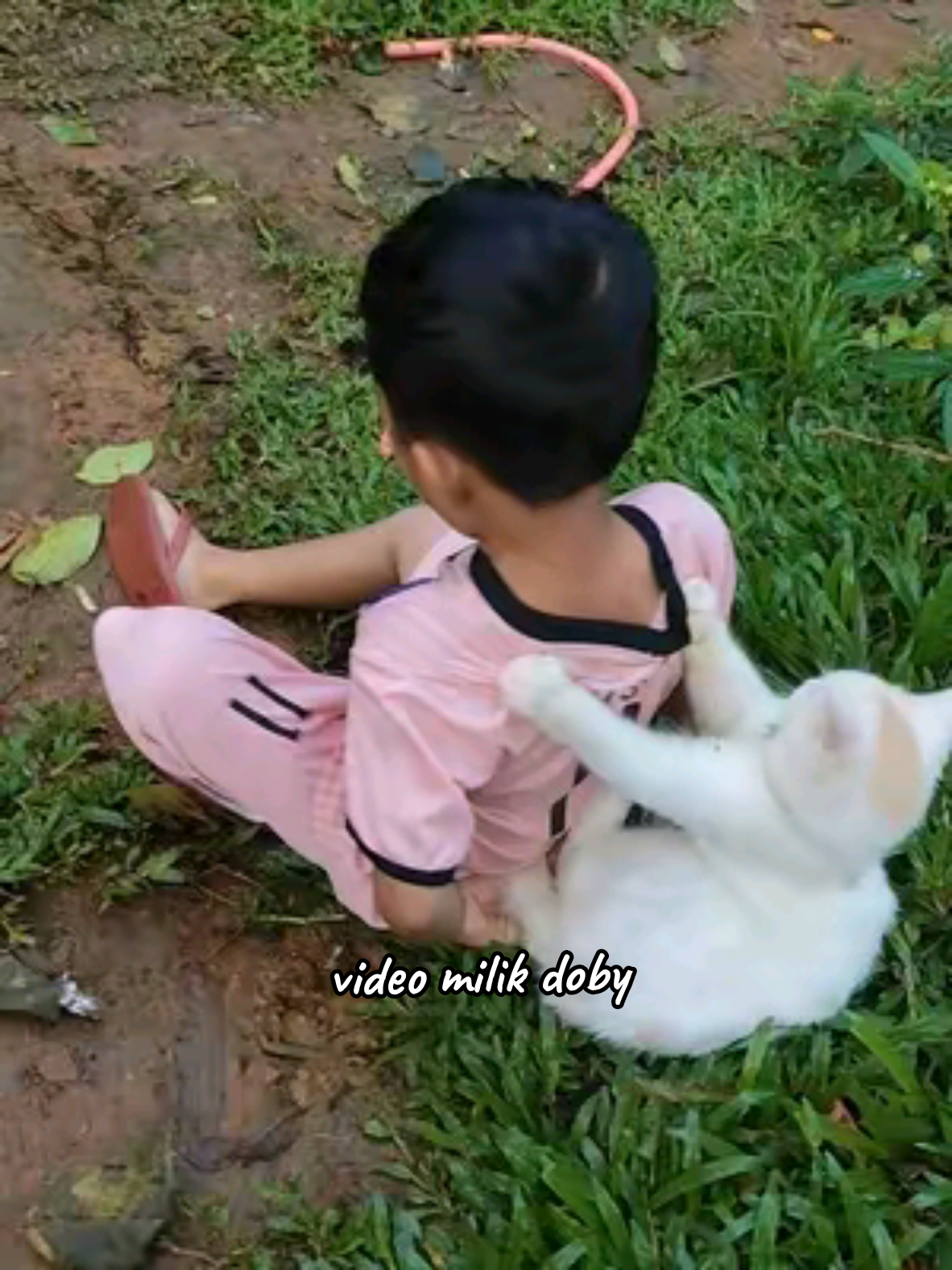 mana sambil ngomel² lagi s doby 😅 #kucing #putih #kesayangan 