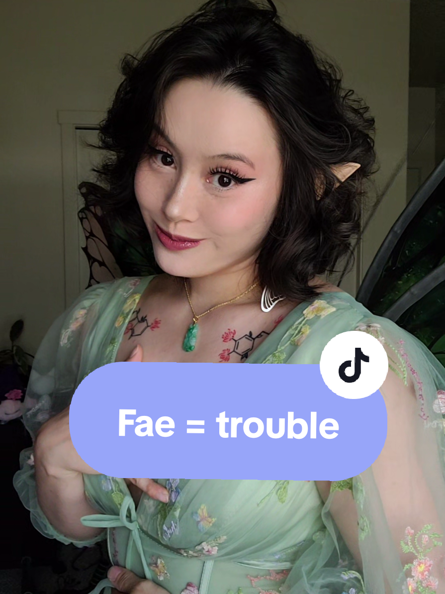 #POV When you tell a fae that they are trouble makers #fairycore #fantasy #fyp #cosplay 