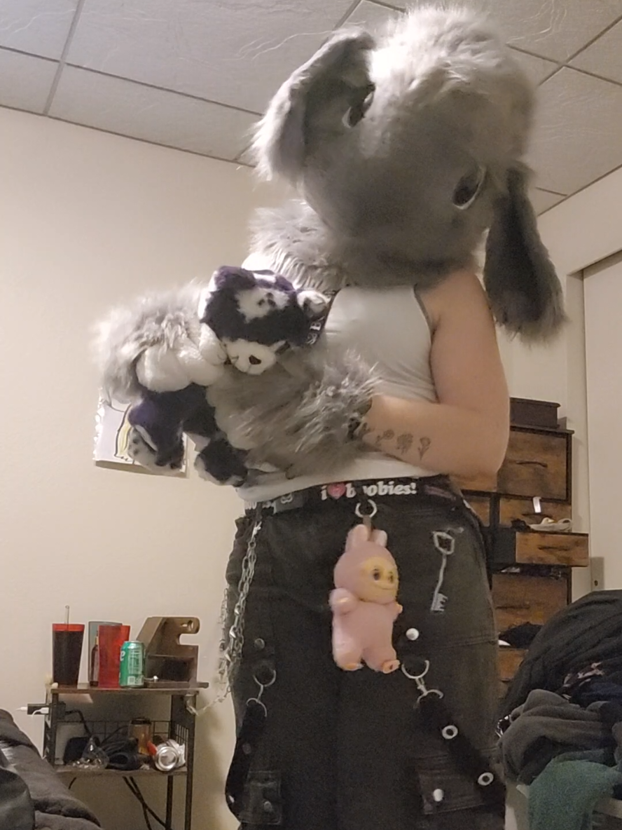 beware the bun #OOTD #furrycommunity #furryfandom #wafurry #fursuit #fursona #furry #bunnygirl #bunnyfursona #bunnyfurry 