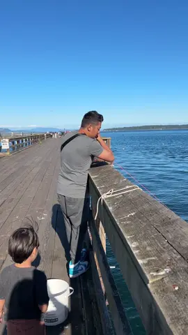 Sidney Pier is a popular spot for crabbing because it's a convenient location, easily accessible from the town, and offers good crabbing opportunities. The pier's hook shape provides vantage points across the water, and the area is known to have a healthy crab population. It's a memorable experience to catch crab right off the pier, offering a unique way to connect with the ocean and enjoy fresh seafood, 
