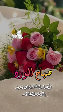 #صباحكم_أحلى_صباح🌹🌹 