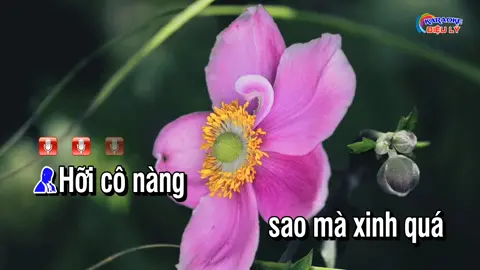 #karaoke #duet #xuhuong #foryoupage #xuhuongtiktok 