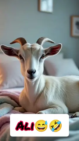 Bakra funny  #bakrafun #desimeme #creatorsearchinsight #trendingbakra #Ali🤣🤣  