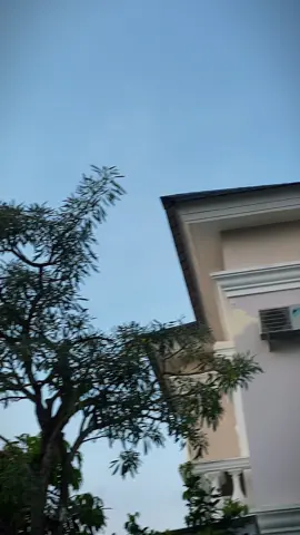 everything ur ✨🕊️  #POPAYY #beatmodifikasi_id #beatgendut #Capcut #templatecapcut #beatfi110 #k44gank #cinematicmotor #foryoupage