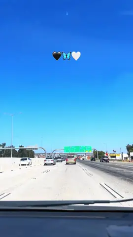 #🦋🦋🦋🦋🦋 