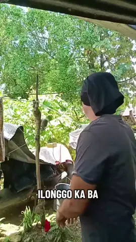 paano mo nasabi na iloggo ako grabe Kang judgemental #ilonggokaba #everyone #tiktokfypシ 