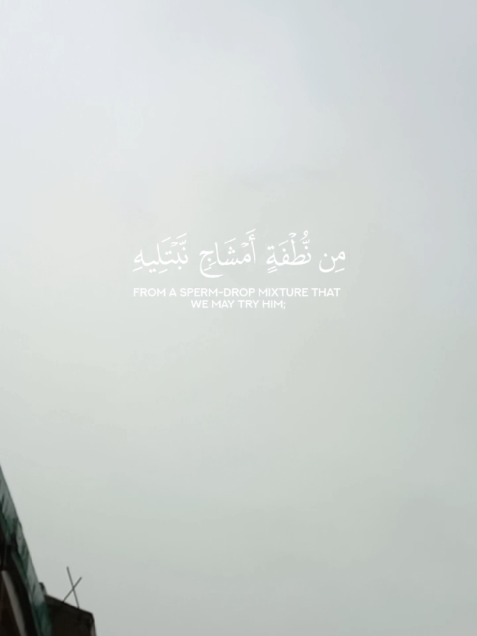 beautiful tilawat of Al Quran. #CapCut #subhanallah #alquran #recitation #islamiccontent 