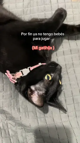 La amo 🖤#viral #gatosnegros #flyp #gatos 