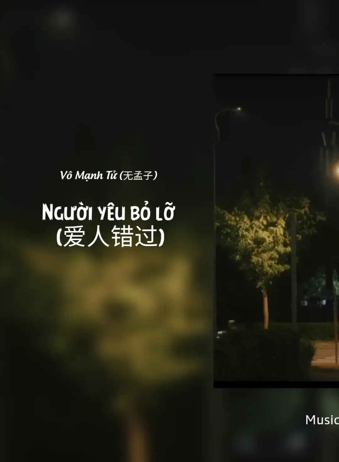 người yêu bỏ lỡ có bản trung @tệ #musicbuon #nhacsuy #nhactamtrang #xuhuong 