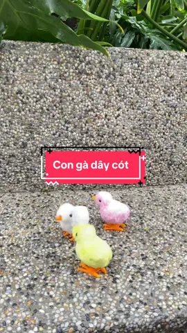 Con gà dây cót #gadaycot #cogadaycot #xuhuong #xybca #fyp
