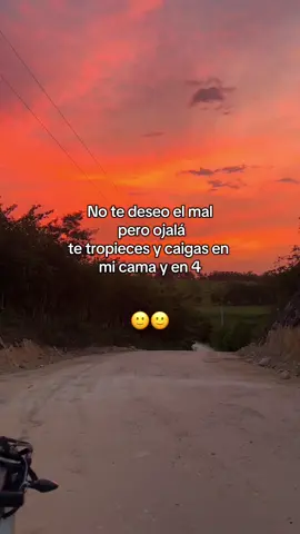 No te deseo el mal pero ojalá te tropieces y caigas en mi cama y en 4 🙂🙂#frases #virales #tiktok #paratiii 