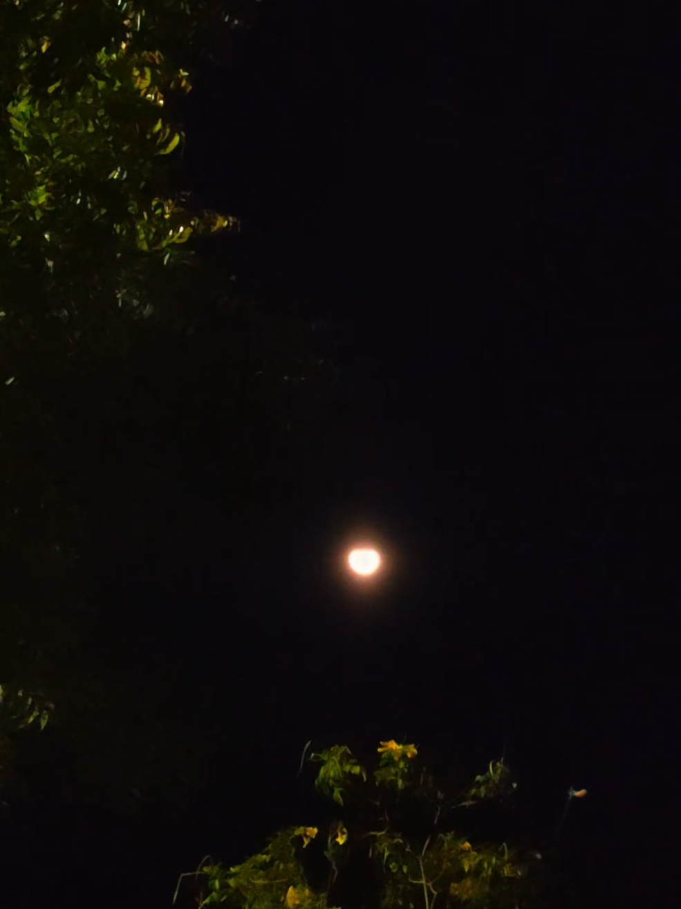 🫠🫶🌕#moon #fypシ゚ #tamilsong #trending #viral 
