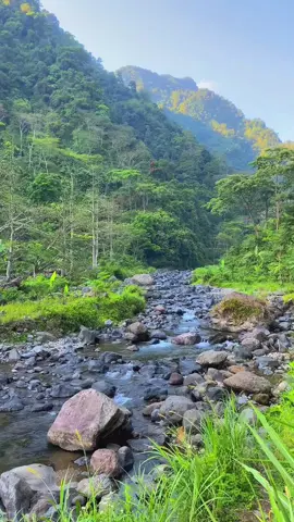 🍃#capcut #pemandanganalam#wisatatempurjepara #foryoupage #jepara24jam 