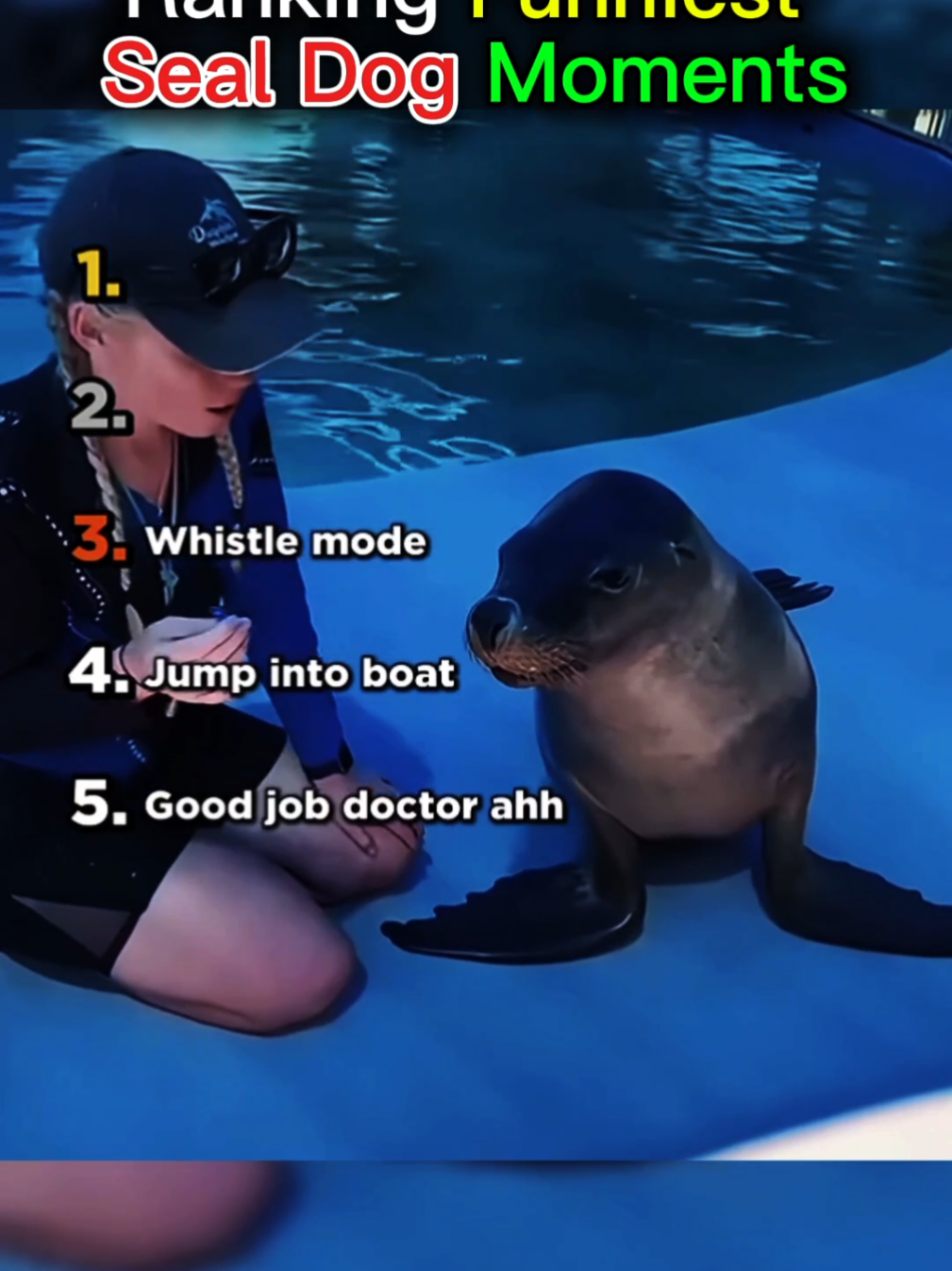 Ranking Funniest Seal Dog Moments  #animal #usa🇺🇸 #xyzbca #fyp #viral #sealsoftiktok #top5 #moments 