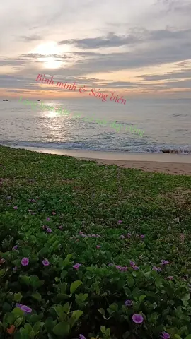 💥Cảm ơn những người đã ở lại bên tôi lúc khó khăn.🌏Thankyou 💞#cuocsongtaixe #canhdepthiennhien 