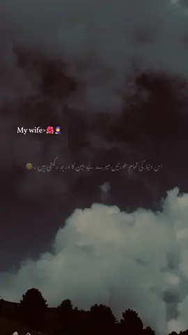 Bilkul👀❤️#1millionaudition #aesthetic #foryou #urdupoetry #tiktoksolve 