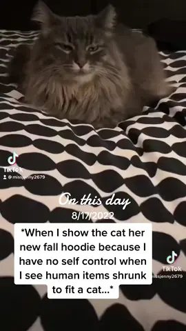🔥 #lookatmycat 
